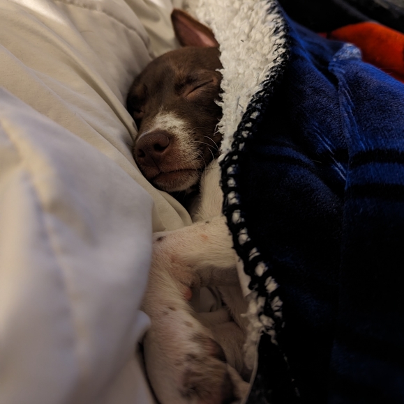 NEW LISTINGS DAILY - BIG STASH CLEAR OUT - Picture 3 of 6